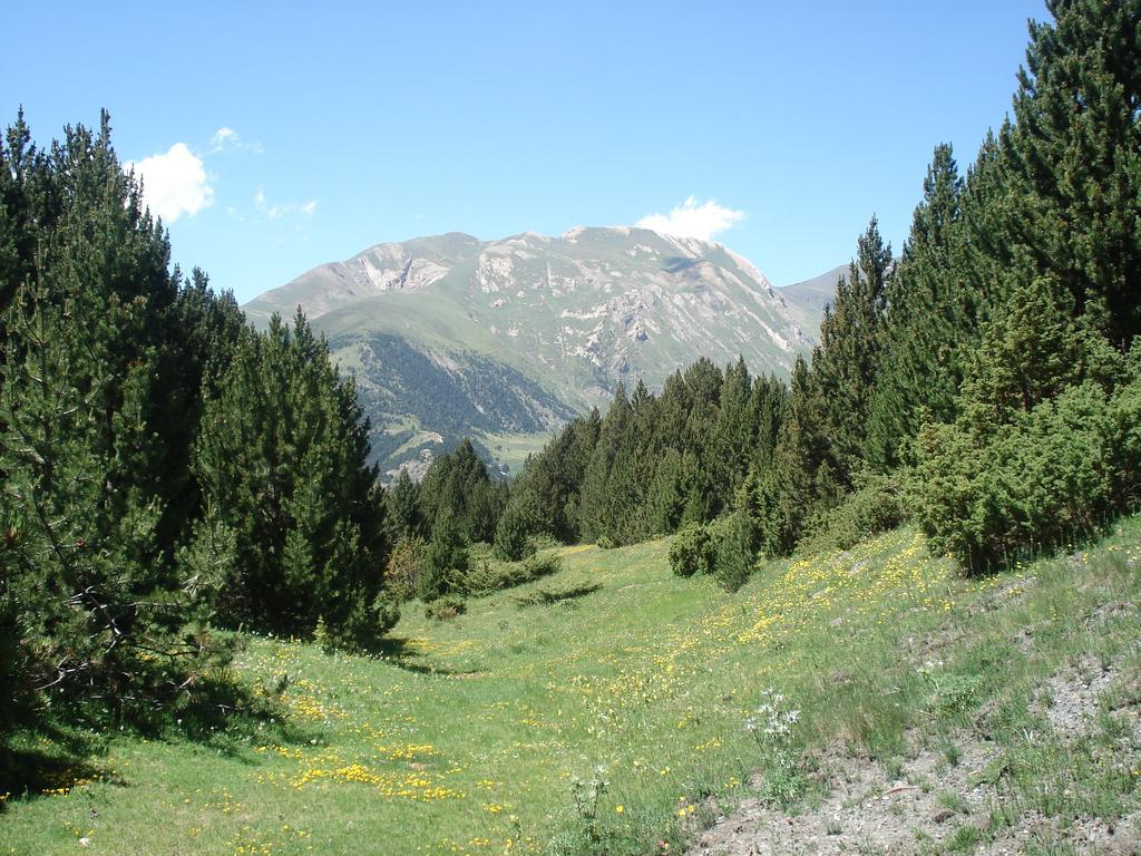 Villa Xalet Riba - Hut 8077 à Arinsal Extérieur photo